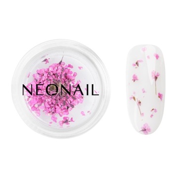 NEONAIL Ozdoba na paznokcie - suszone kwiaty 02 Purple
