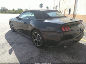 Ford Mustang VI 2024 Ford Mustang Ecoboost Premium 2024 2.3l 2.3 Benzyna 315KM, zdjęcie 3