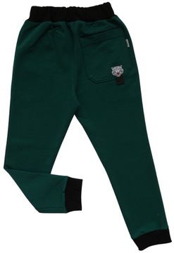 Spodnie DRESOWE chłopięce DRESY GAMET 104 butelka