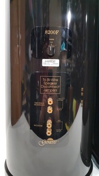 КОЛОННЫ GENESIS 8200F / ЛЕНТА / BI-WIRE