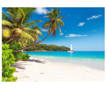 Fototapeta 254x184cm Piaszczysta plaża z palmami