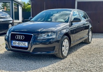 Audi A3 8P Hatchback 3d 1.6 102KM 2008 Audi A3 Sportback 1.6 MPI 102KM skory PDC cliamtronic tempoamt alu grzane, zdjęcie 4