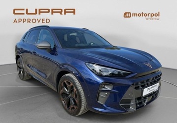 Cupra Terramar 2025 Cupra Terramar Pakiety, HUD, Sennheiser, ACC, Kamera 360, GPS, Bezwypadko, zdjęcie 14