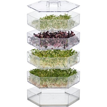 Многоуровневый ящик для рассады Nice Herb + семена