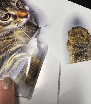 НАКЛЕЙКИ коты на стену DOOR CATS 3D набор 3 шт N10.