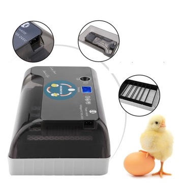 ИНКУБАТОР ВЫМЯТНИК ДЛЯ ПТИЦЫ 12J