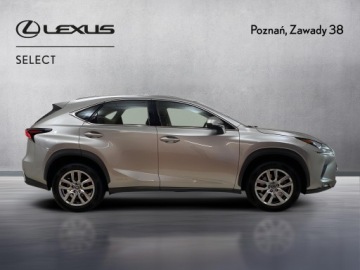Lexus NX I SUV Facelifting 300h 197KM 2020 Lexus NX 300h Business Edition AWD I (2014-2021) L, zdjęcie 3