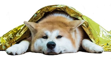 АВАРИЙНОЕ ТЕРМООДЕЯЛО АЛЮМИНИЕВАЯ ФОЛЬГА КОВРИК ДЛЯ АВАРИЙНОЙ ЖИЗНИ 130X210CM