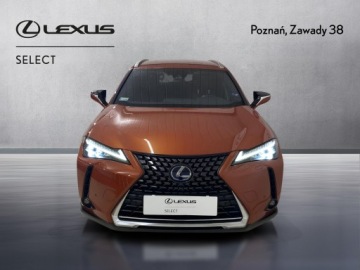 Lexus UX 2019 Lexus UX 250h Prestige 2WD Lexus UX 250h Prestige+, zdjęcie 5