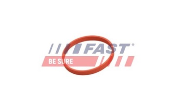 ПРОКЛАДКА КЛАПАНА РОГ, ТРУБКА RENAULT KANGOO 08- 1.5 DCI