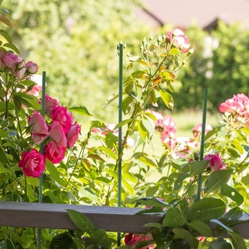 Tyczka DO POMIDORÓW ROŚLIN 0,8x90cm stal 10 szt.