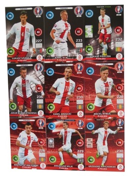 PANINI EURO 2016 216 KART TEAM MATE KAŻDA INNA KARTY PIŁKARSKIE + LIMITED