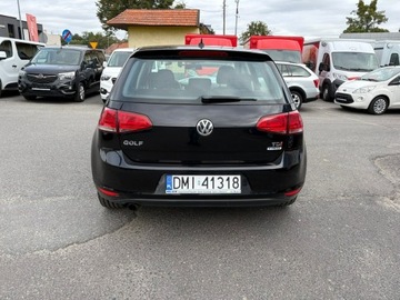 Volkswagen Golf VII Hatchback 3d 1.6 TDI BlueMotion 110KM 2015 Volkswagen Golf VII 1.6TDI 110KM Super Stan! 2015, zdjęcie 4