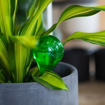 Шарики для полива растений, зеленые прозрачные цветочные горшки, 400 мл, 4 шт.