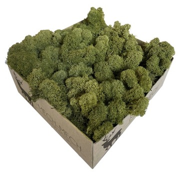 Mech chrobotek Fiński 500g Oliwkowa Zieleń