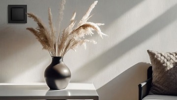 Simon 10 Рамка двойная, 2-створчатая, двойная, черный матовый CR2/49