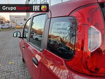 Fiat Panda III 2025 Fiat Panda Pandina Icon 1.0 70 KM 5-miejscowa, zdjęcie 5