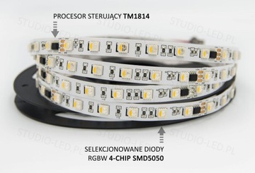 Цифровая лента 1м 60D RGB+нейтраль RGBW TM1814 24В