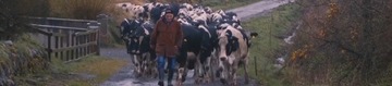 УДОБНЫЕ РЕЗИНОВЫЕ БОТИНКИ, ПРОЧНЫЕ, КАЧЕСТВЕННЫЕ РЕЗИНОВЫЕ БОТИНКИ.