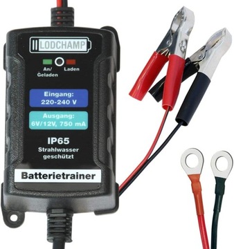 TESTER AKUMULATORÓW LODCHAMP 146303 6V/12V