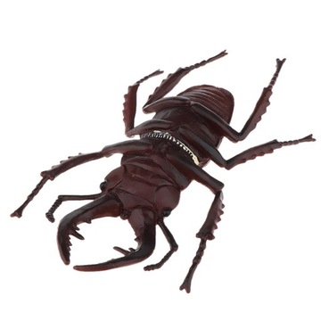 Моделирование насекомых Рисунок Модель Высокий песчаный червь