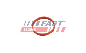 ПРОКЛАДКА КЛАПАНА РОГ, ТРУБКА RENAULT KANGOO 08- 1.5 DCI