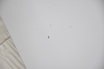 КАПОТ, КРЫШКА ДВИГАТЕЛЯ RENAULT SCENIC III 3