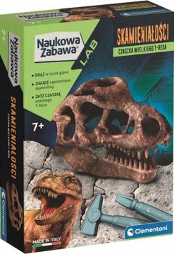 WYKOPALISKA SKAMIENIAŁOŚCI CZASZKA T-REX DINOZAUR