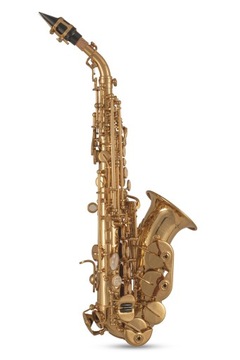 Изогнутый сопрано-саксофон Roy Benson SG-302