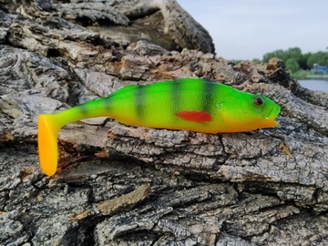 SEWRO CUSTOM OKOŃ seledyn I 18cm