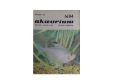 Akwarium nr 6 z 1984 roku