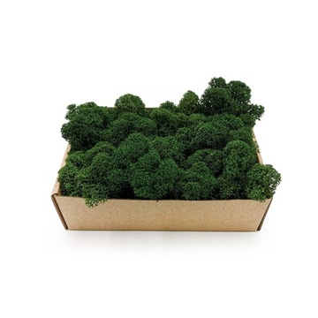 Мох Финляндия 50г НЕТТО! ПРЕМИУМ КЛАСС