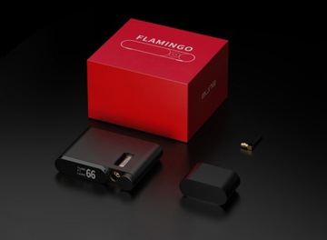 Aune Flamingo-BD ЦАП Bluetooth