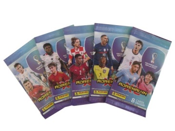 АЛЬБОМ-САШЕ PANINI FIFA WORLD CUP QATAR 2022