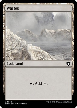 MTG Wastes