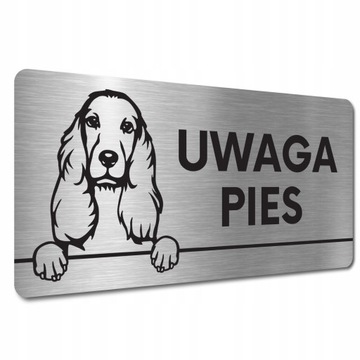 TABLICZKA UWAGA ZŁY PIES Cocker spaniel angielski TABLICZKA UWAGA ZŁY PIES