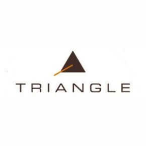 Напольные колонки Triangle Borea BR08 (черные)