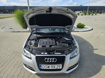 Audi A3 8P Hatchback 3d 2.0 TDI CR 140KM 2011 Audi A3 2.0 140 km Automat 6 xAir Bag Klimatronik, zdjęcie 17