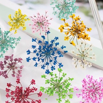 Высушенные цветы на ногтях украшения гибридные искусственные цветы кассета