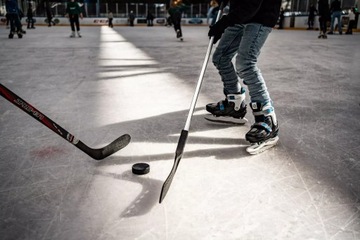 Шайба хоккейная из черной резины для хоккея NIJDAM, 160г.