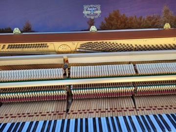 ПРОФЕССИОНАЛЬНОЕ ЯПОНСКОЕ ПИАНО * KAWAI CE7**