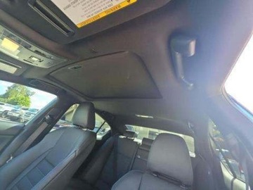 Lexus IS III 2024 Lexus IS Lexus IS 500 F SPORT Performance Premium 5.0 Benzyna 472KM, zdjęcie 13