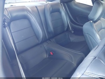 Ford Mustang VI 2024 Ford Mustang GT Premium Fastback 2024 5.0l 5.0 Benzyna 480KM, zdjęcie 13