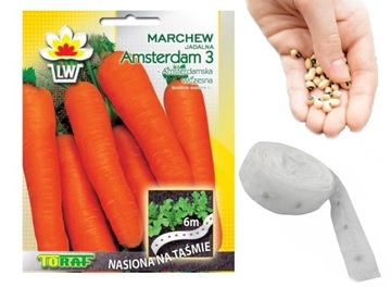Nasiona na taśmie Marchewka wczesna