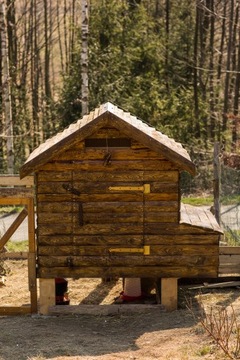 Курятник XL на 6-12 кур, доска сосна, ель, ель, утеплена круглый год