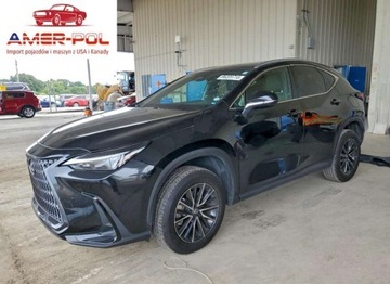 Lexus NX II 2024 Lexus NX 250 Base 2024 2.5 Benzyna 203KM