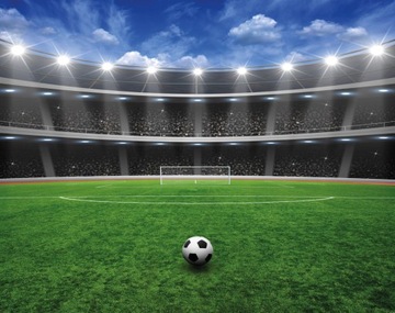 FOTOTAPETA DLA DZIECI PIŁKA NOŻNA SPORT WALLTASTIC