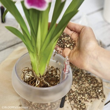 PODŁOŻE DO STORCZYKÓW LECHUZA ORCHIDPON 6L