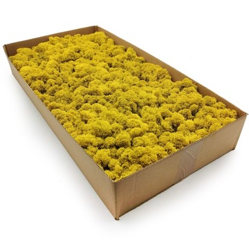 Финский мох 500г.