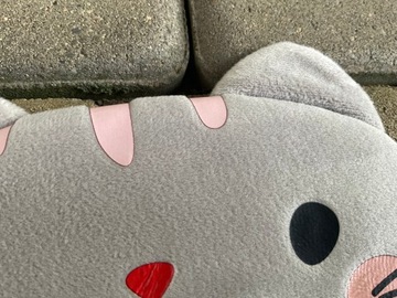 Глазное лент